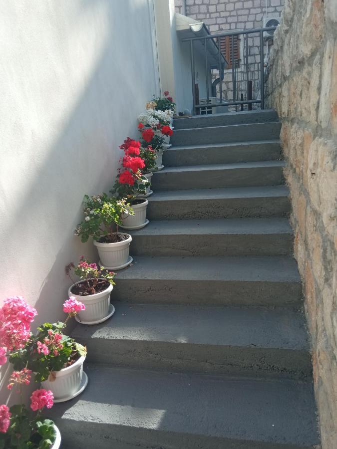 פראסט Apartment Rosic מראה חיצוני תמונה