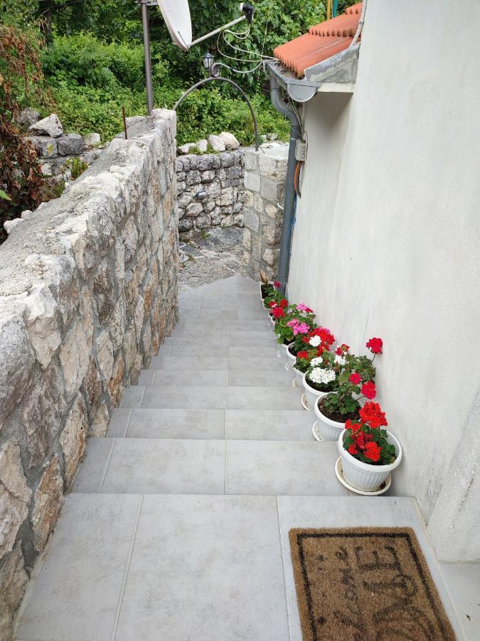 פראסט Apartment Rosic מראה חיצוני תמונה